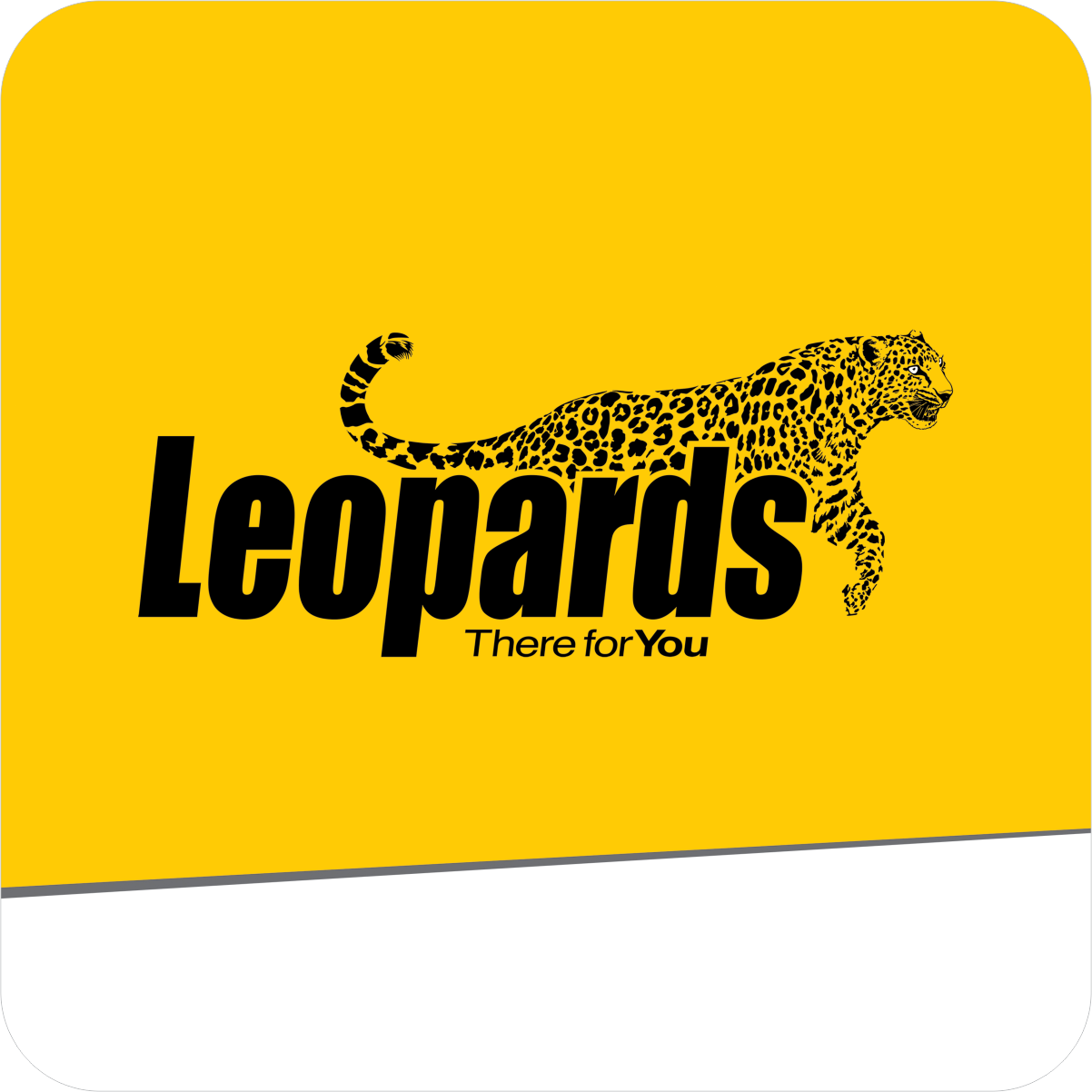 Leopard
